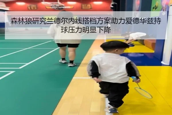 森林狼研究兰德尔内线搭档方案助力爱德华兹持球压力明显下降